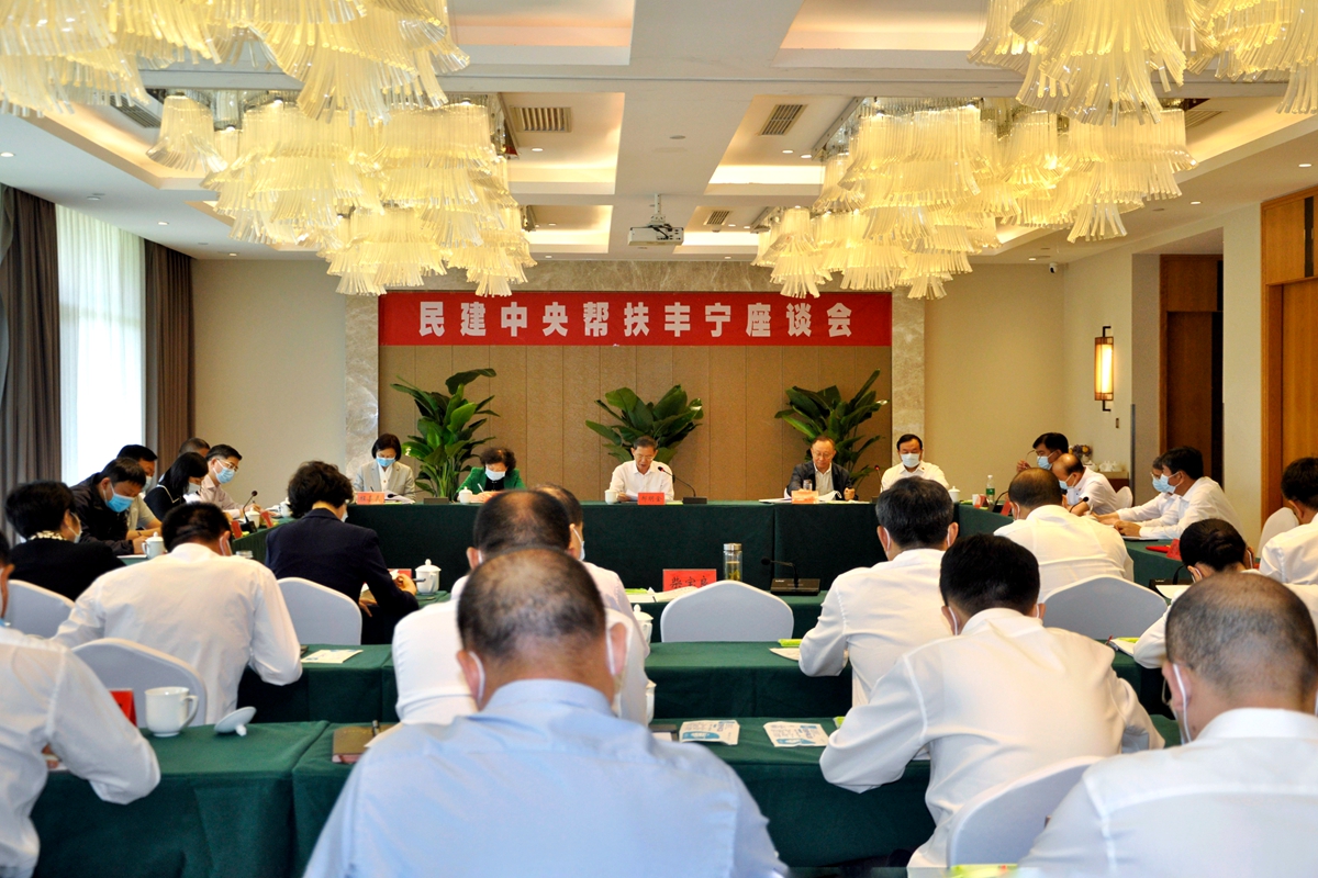 座谈会全景_副本