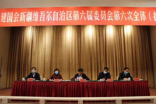 民建新疆区委会召开六届六次全委（扩大）会议（一）